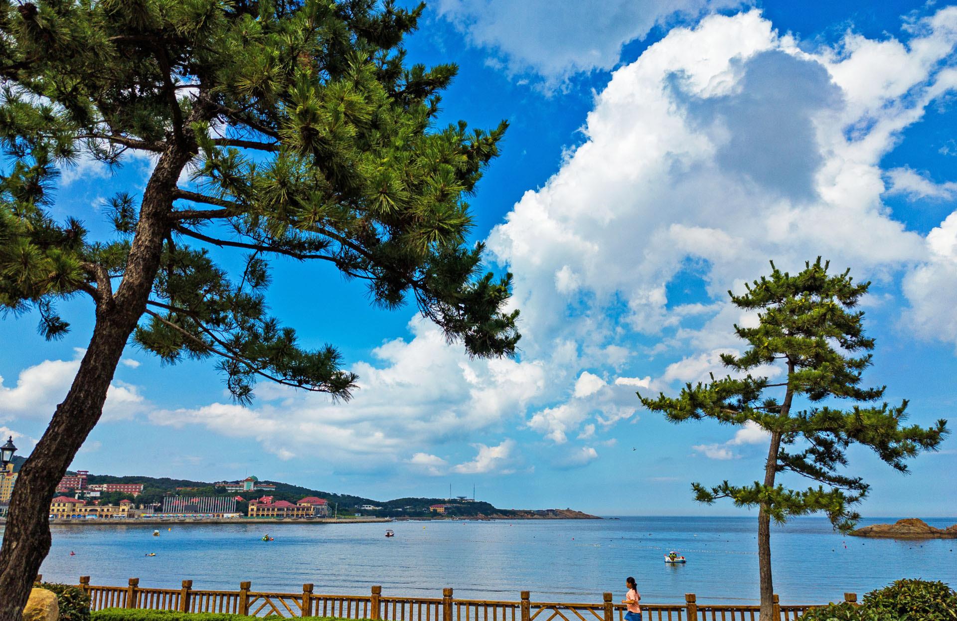 奶球妈咪聊|北京人搬来威海，生活习惯全变了，为当地一种古老的水果着迷