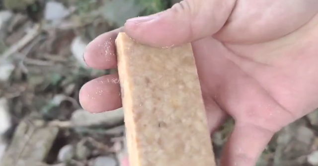 智商税|用压缩饼干打窝钓鱼，水下相机记录全过程，网友：别交“智商税”