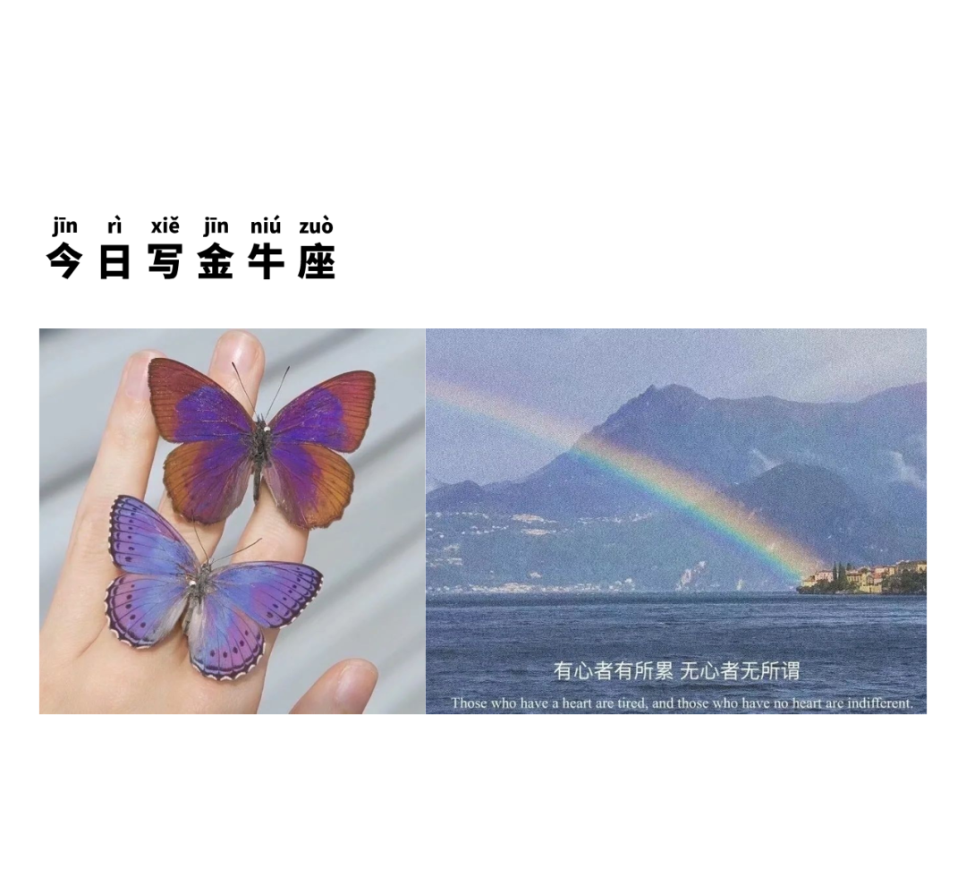 大卫星座|深度剖析 | 关于金牛座的几件事