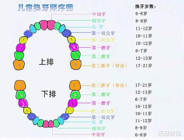 乐佳善优|宝宝换牙期间有6件事情要注意，否则会影响宝宝的牙