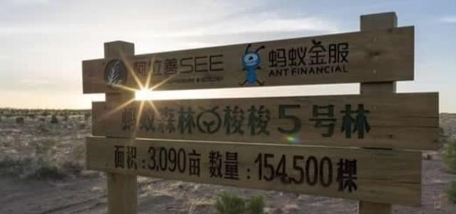 也学会矫揉 蚂蚁森林被“质疑”的地方！在万亩护林被砍伐下，显得微不足道！