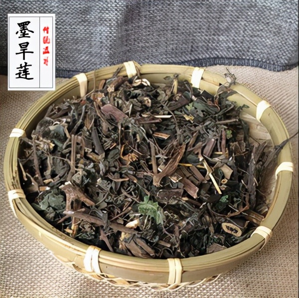 脂肪肝|精血不足、人顯老，兩味中藥，掃除早衰，補肝腎、填精血、增氣力