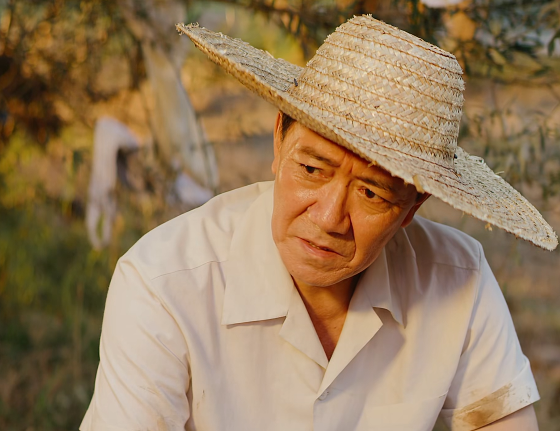 军人|播1天收视2.6，被光明日报大赞，网友：今年唯一没快进的电视剧