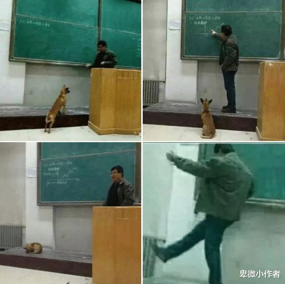 为什么地球环境不允许出现永生生物?网友:地球都还没永生呢