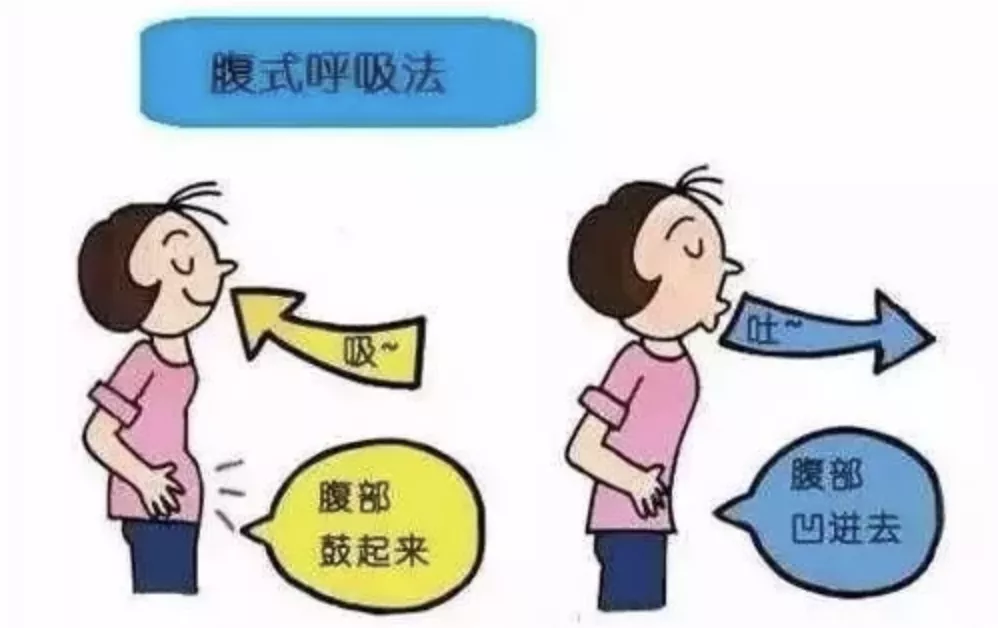 洗髓功志诚|呼吸到脐，寿与天齐！（腹式呼吸法详解）