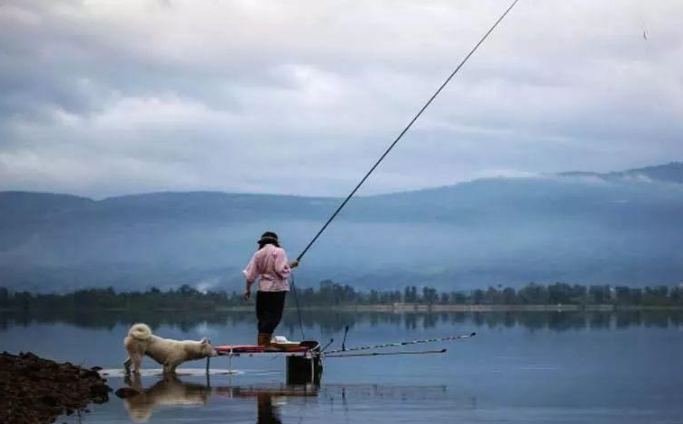 |找鱼层还丈二和尚摸不着头脑，那就看下这个分析！——盛世三渔