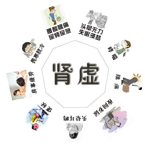 专注现代人养生解说|肾有多强大，寿命就有多长，这样做活到百岁不是问题