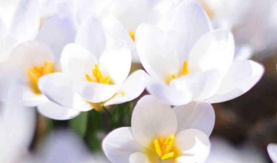 城东李公子说|15天后，空中楼阁，皆为虚无，告别远走，形同陌路，不再相逢