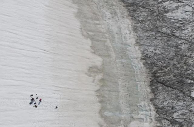 科学家警告:北极植物高度大幅增加,变得生机盎然!或会引发灾难