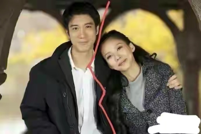 立法会|王歌手的错在于未遵守对婚姻的承诺，最后的代价是事业和一切