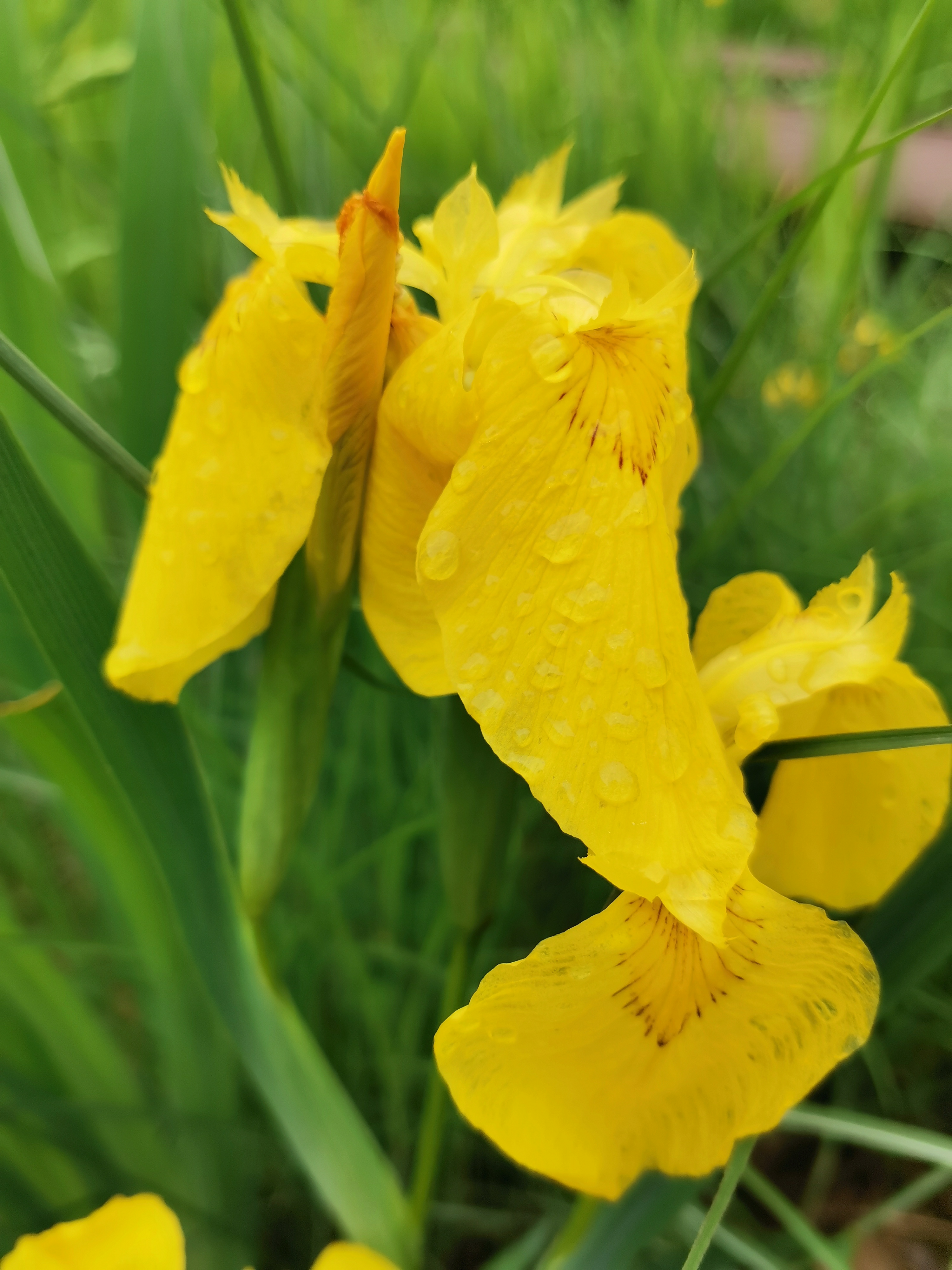 一介无用书生 无题(曾经写给自己)