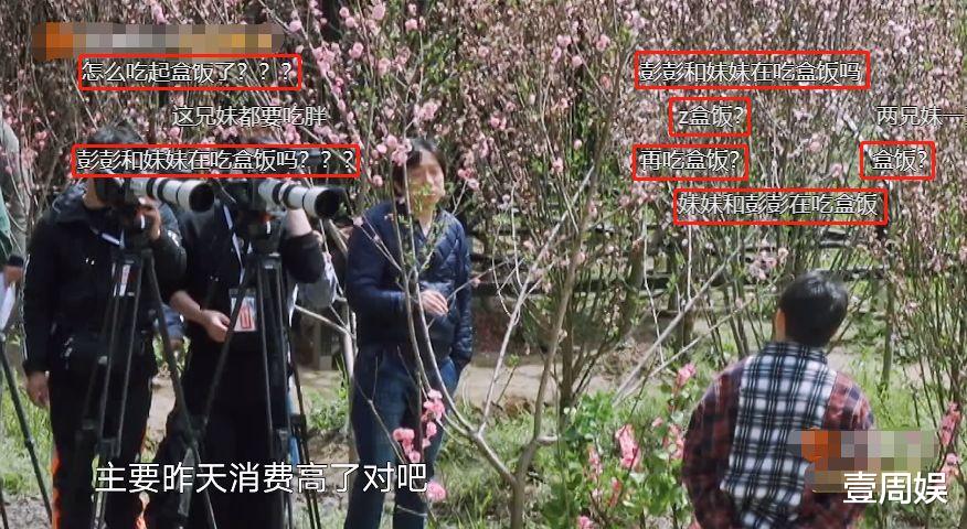 刘萌萌|《向往5》是黄磊太懒还是节目组太穷？彭昱畅张子枫饿到吃盒饭！