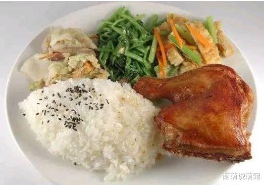 萌萌说萌宠 心理测试：4碗饭，饿了你会吃哪碗？测出你是不是一个高智商的人