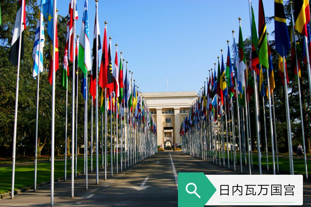 立陶宛|60多国力挺！中俄开大会“怒批”西方，国际局势终于发生变化