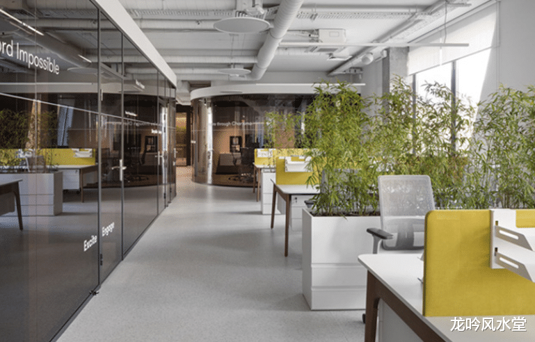 办公室|办公室的摆设风水