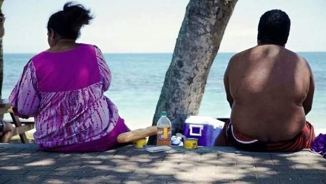 动物志|太平洋小岛国，靠卖鸟屎成为“天堂岛”，又把一把好牌打得稀烂