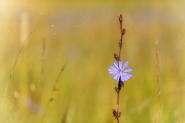 情感说心事|人生感悟:干净待人,清净待己