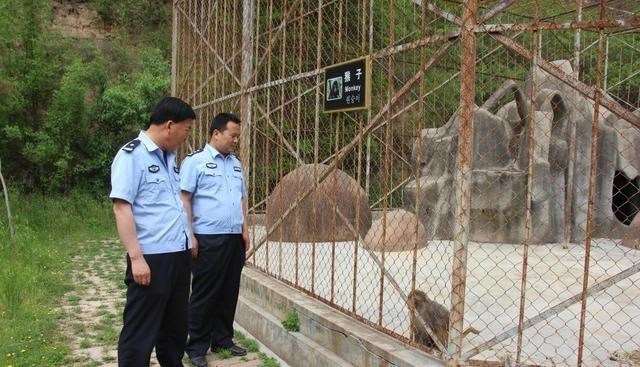 教教你家娃|养殖户注意了，3类养殖模式将受“严查”，不整改的或负法律责任