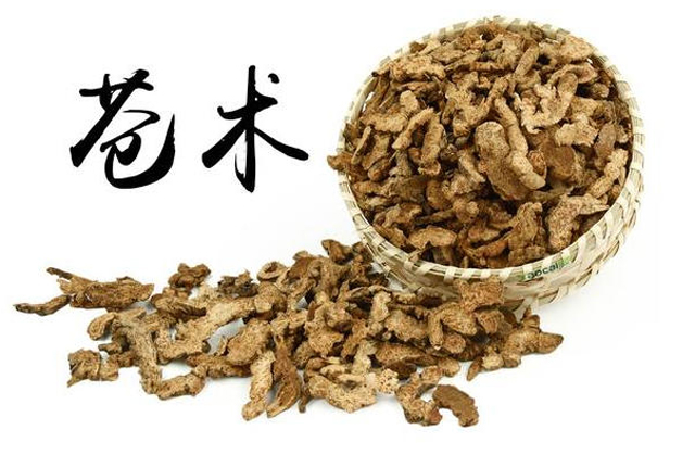 白术|走近中药:认识一下“健脾燥湿”的苍术,和白术的区别