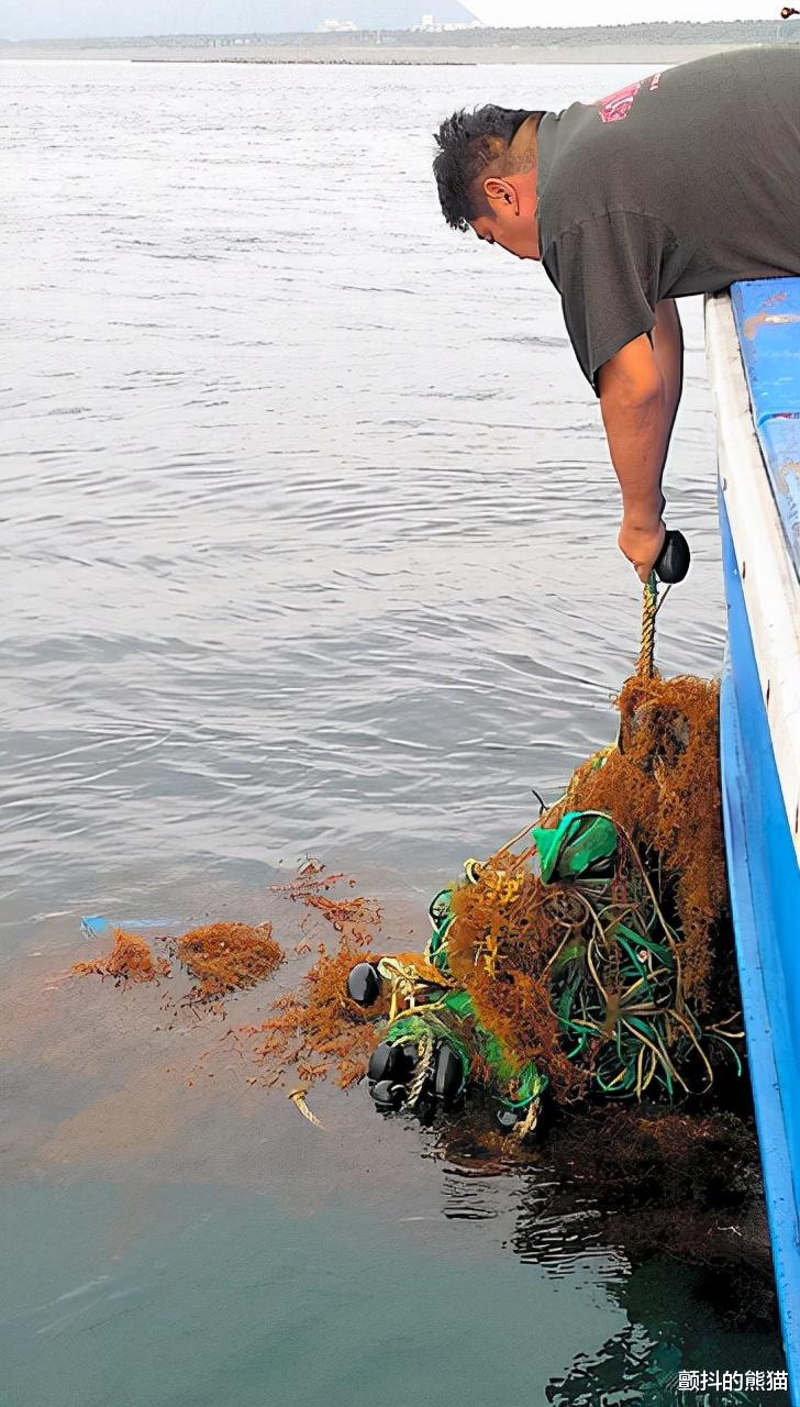 环保|进入的寄居蟹再也无法出来 垃圾引起的“鬼钓鱼”