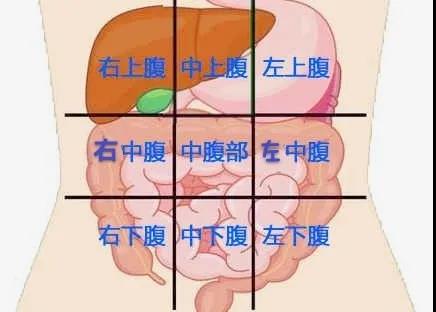 徐老谈养生|肚子疼忍一忍就算了？这几种肚子疼格外危险