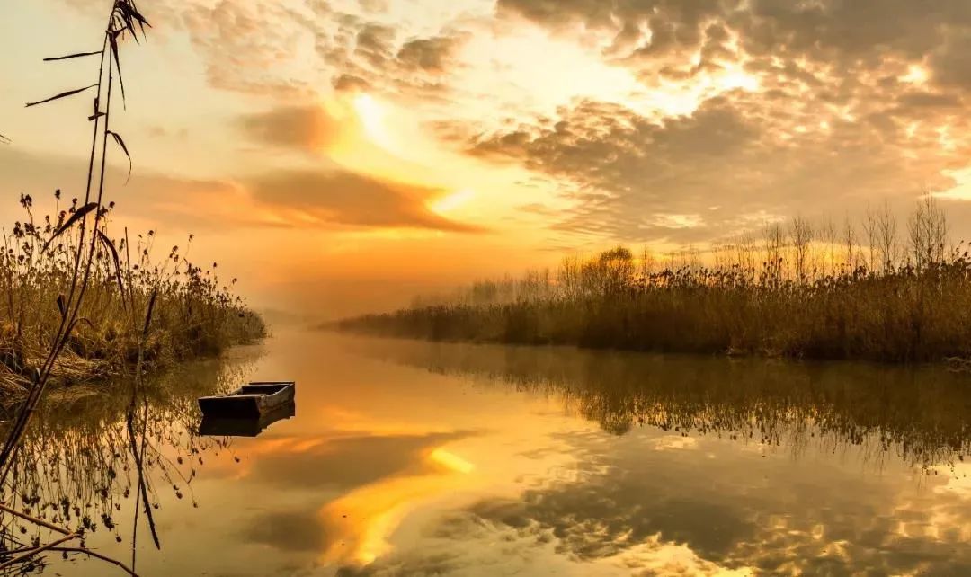 蚌埠广电 蚌埠唯一的国家级湿地公园，现在美成啥样了？