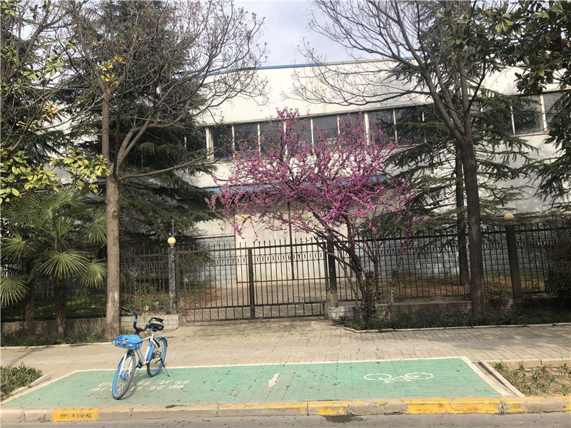 河南100度 郑州新型共享单车：定位不准造成的扣费 调试期间将继续减免