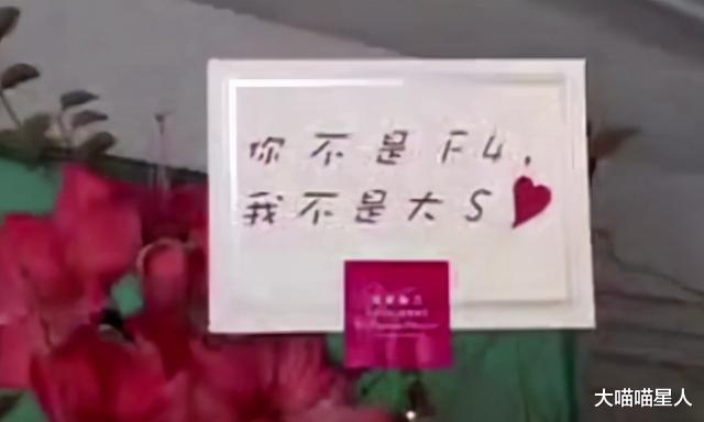 大S|16年后，回看大s和仔仔的8年，大s！你看你都放弃了什么？