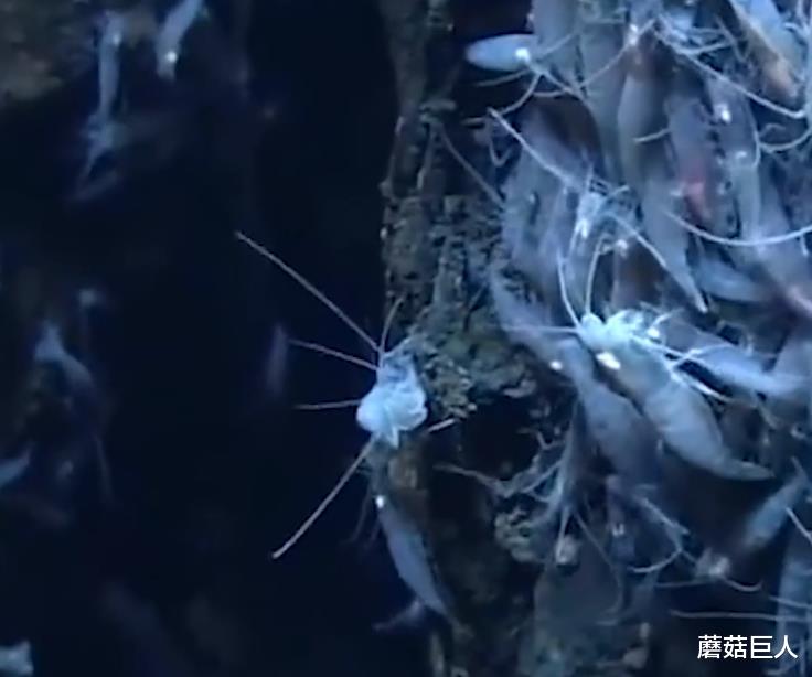 太空 神秘飞船造访,能写“星际旅行方程式”的学渣,《第三类接触》全面来临了吗?