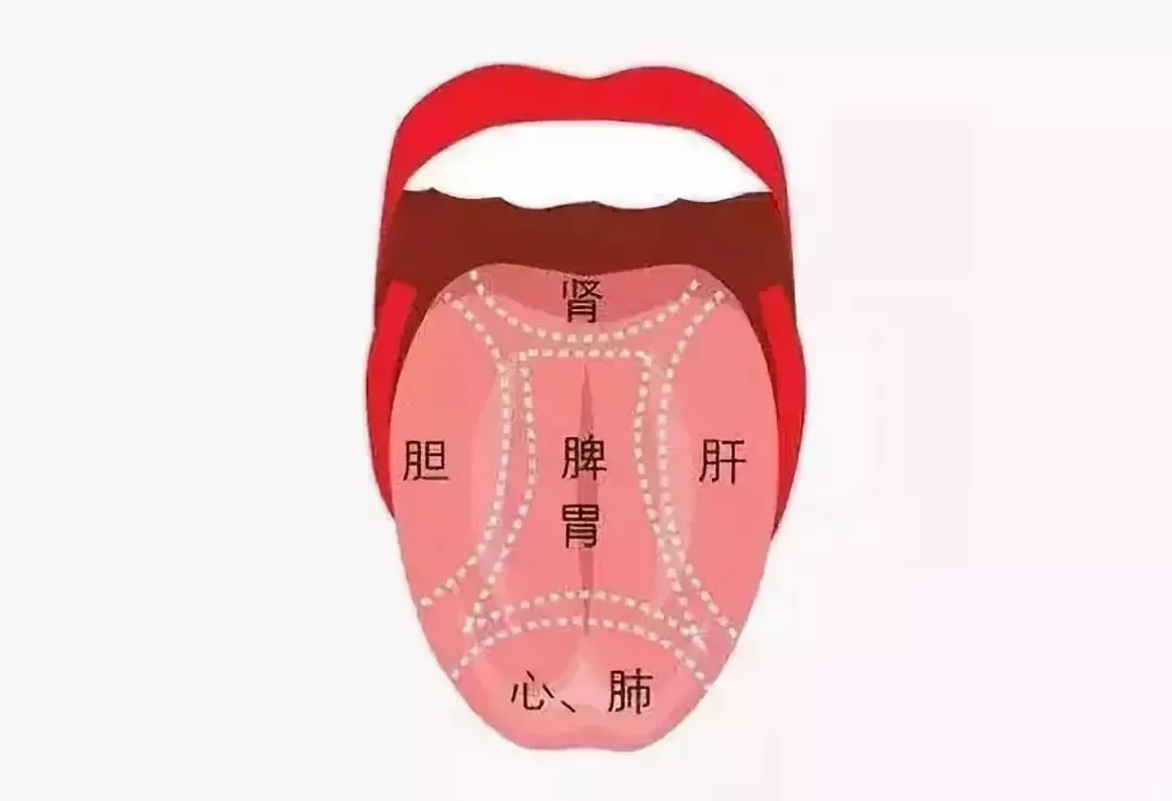 老胡胡胡说|舌诊基础：根据舌苔辨识体质