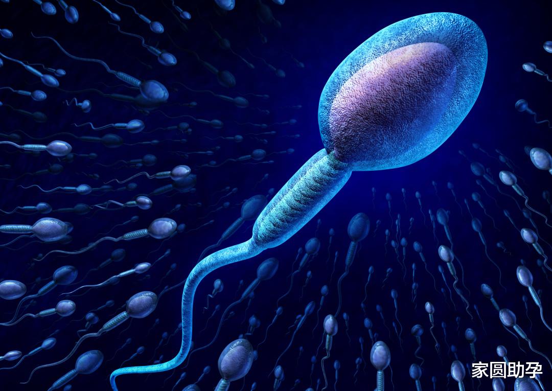 家圆助孕|不孕不育、儿孙满堂？这位82岁老医生被罚千万身败名裂！