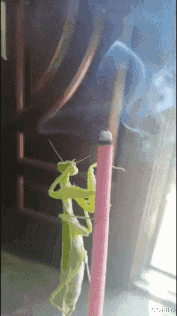 中小学|“大家口中的烂高中到底有差？”网友回复真是让我明白了