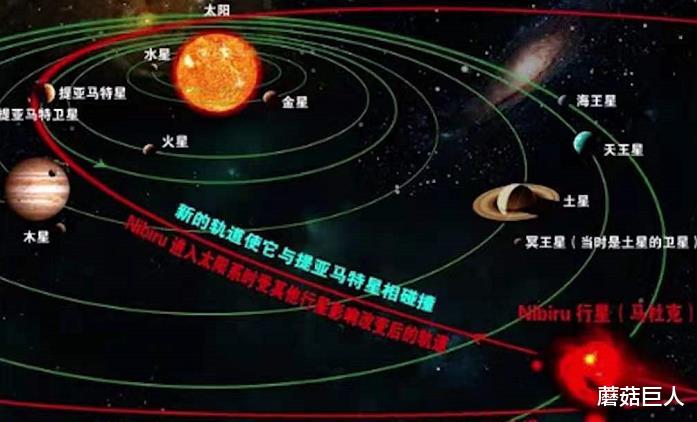蘑菇巨人|星际麻烦制造者，天龙人的前世今生，在数千万年前布下的万古迷局