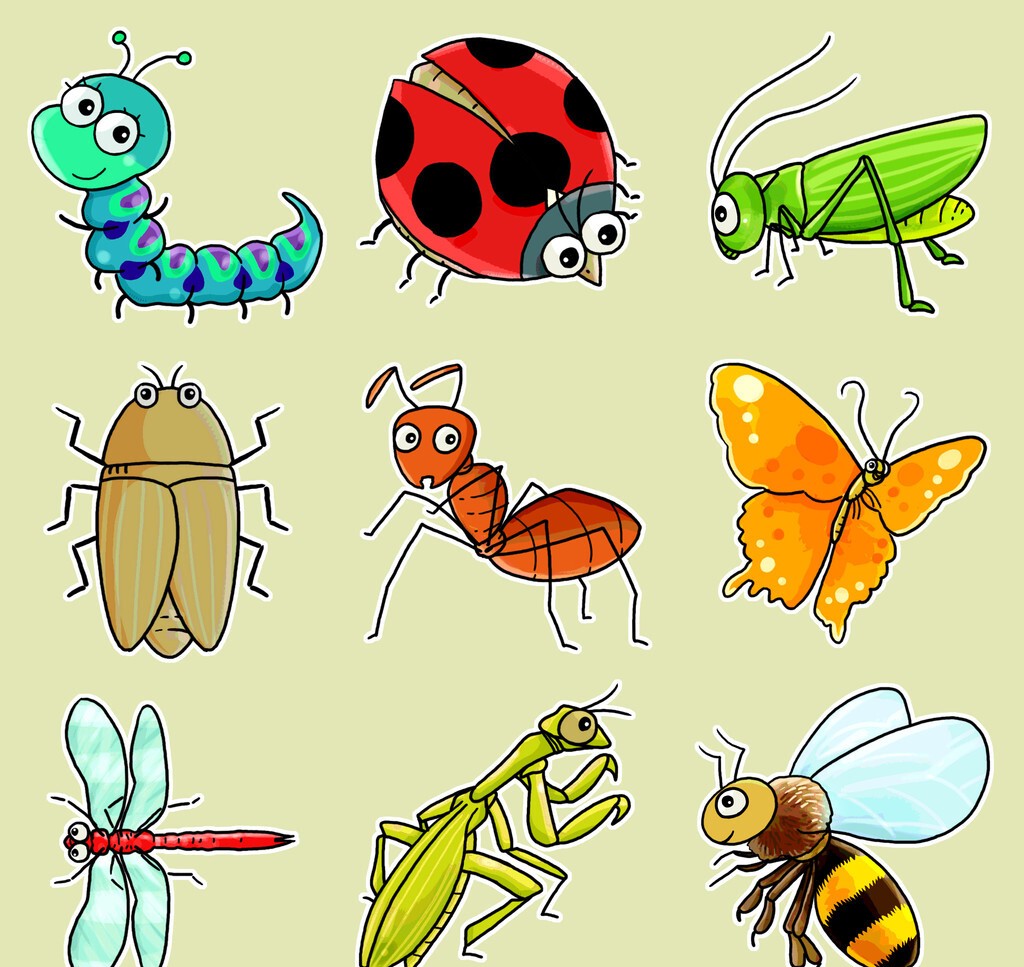 知了 金龟子、知了、蜗牛，还有哪些你喜欢的害虫？