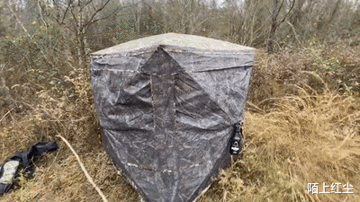 刘亦菲|“马总化腾的女儿又爆出近照，朋友们你们觉得漂亮吗？”