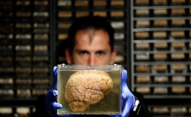 科学家 若在人体死亡后，将大脑放在营养液中，能否使人活在虚拟世界中？