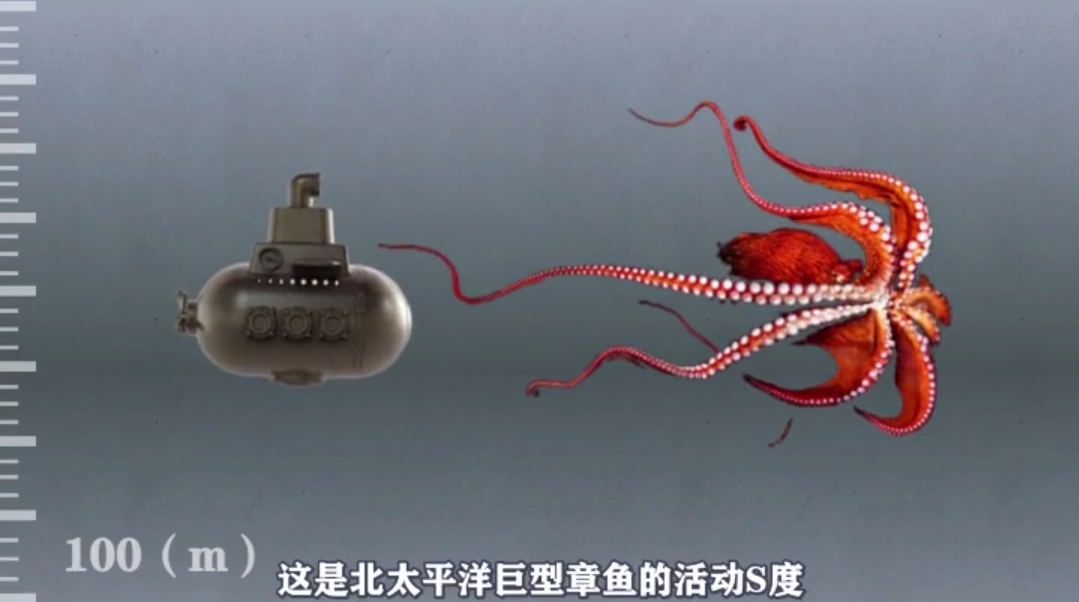 马里亚纳海沟 一万米下的海底世界你不知道的奇观!