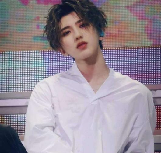 肖战|被公关了?汪海林贬低肖战,却为蔡徐坤鸣不平:粉丝没什么攻击性