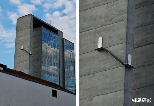 海豹 44张活久未见的照片，驴居然叼着一只狼，大白鲨撞飞海豹跃出水面捕食