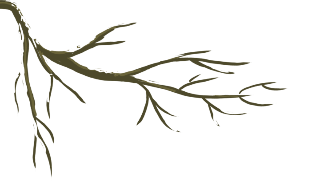 尉氏快报 腊八逢大寒，有粥暖，盼丰年