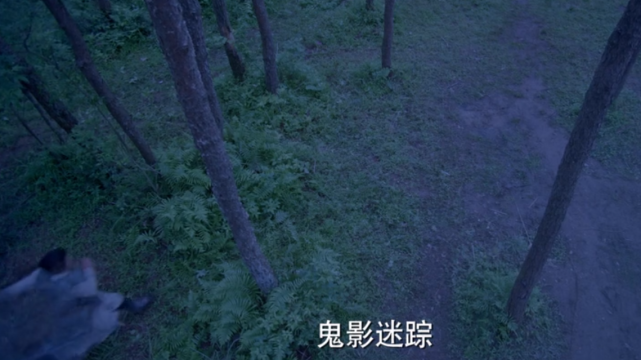 娱乐圈|果然不出所料，斗罗大陆电视剧成了个笑话，三少：我看了很喜欢