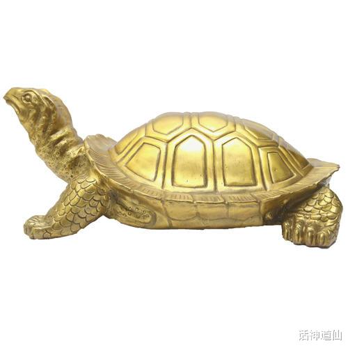 饵料|民间故事:书生夜钓,无意中看到女子洗澡,老龟口吐人言:快跑啊