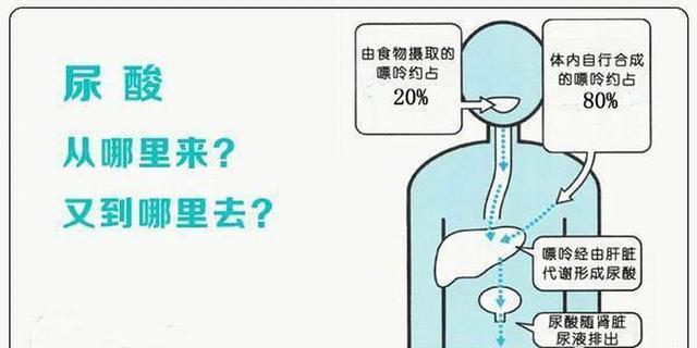 慢性疲劳|医生提醒：尿酸偏高，未必全是“吃”出来的，或许是由这个问题所诱发