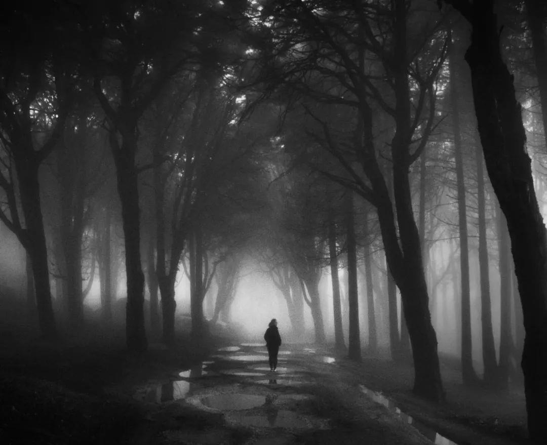 银城星系|高分8.8！他将一生的经历融入小说，为我们留下了这部史诗级巨作