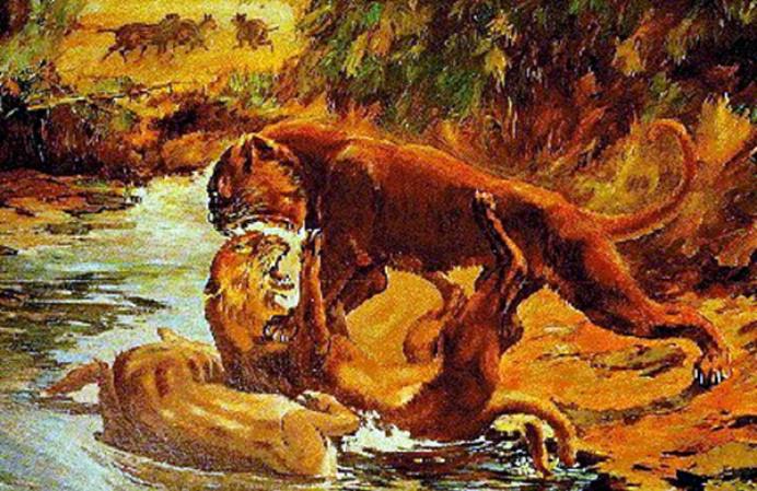 南方古猿 人类真处于食物链顶端？专家发现一种动物，曾差点将人类祖先吃光