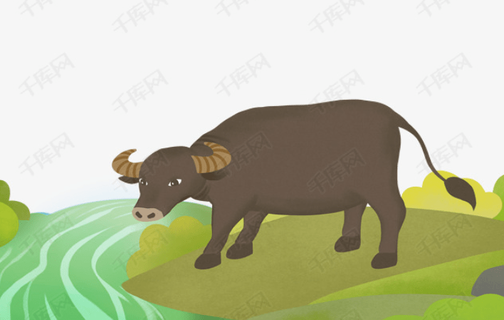 易经风水姓名学 属牛的宝宝取名字有什么讲究，牛年出生的宝宝怎么起名字