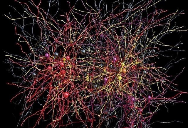 科学家发布惊人理论:宇宙可能是一个巨大的神经网络,真是活的?