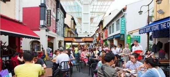 為何新加坡寧願影響經濟發展，也要廢除、抵制漢語？原因很簡單-圖7