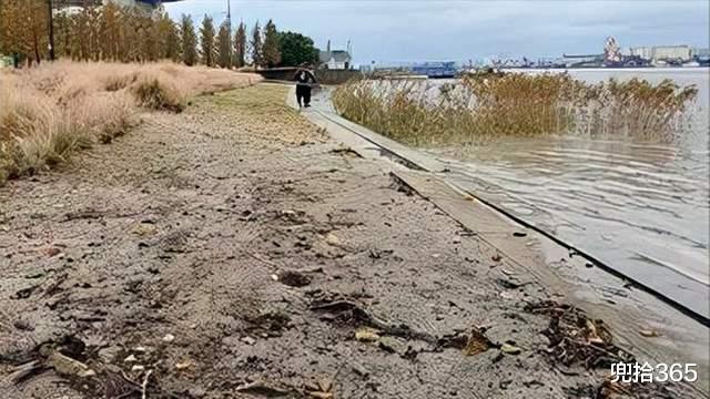 零之战线|黄浦江里出现稀罕事,钓鱼人拿着抄网蜂拥而至,原因让人哭笑不得