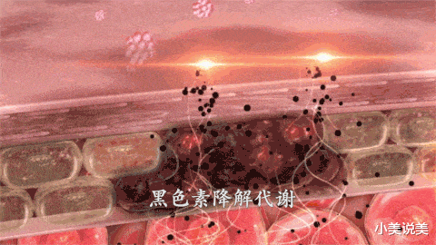 皮草 喏！你的入冬四件套，别的小朋友有的你也要有
